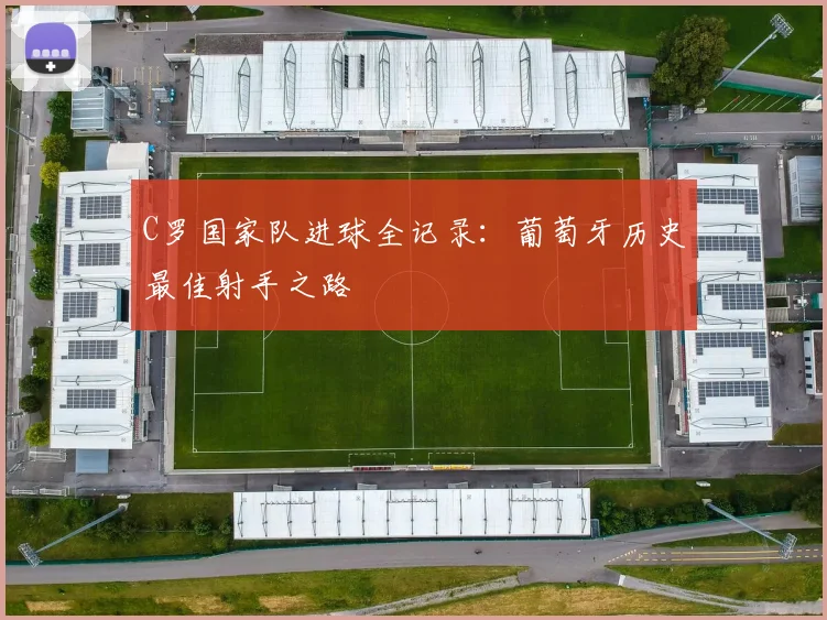 C罗国家队进球全记录：葡萄牙历史最佳射手之路