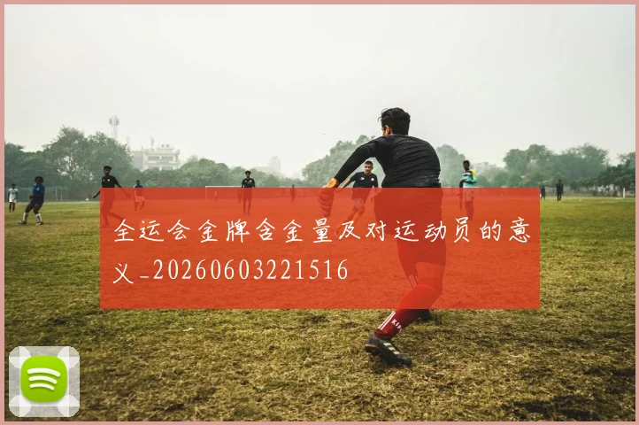 全运会金牌含金量及对运动员的意义_20260603221516