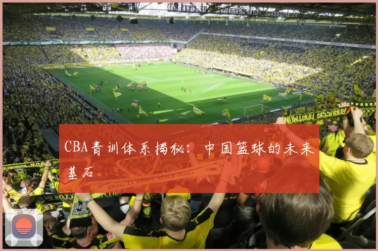 CBA青训体系揭秘：中国篮球的未来基石