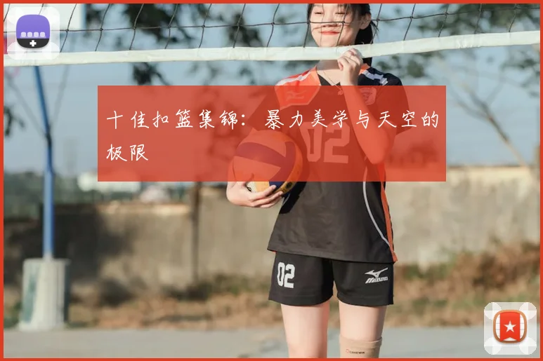 十佳扣篮集锦：暴力美学与天空的极限