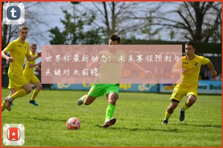 世界杯最新动态：未来赛程预测与关键对决前瞻