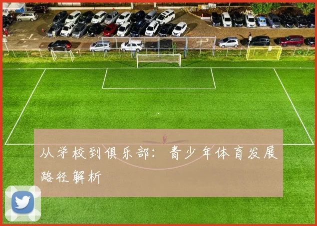 从学校到俱乐部：青少年体育发展路径解析